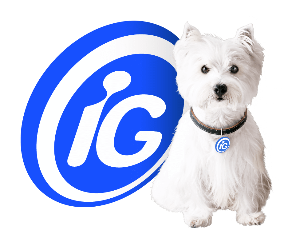 LOGO_IG_IGUINHO_NEW_OPTM